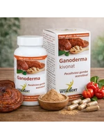 Ganoderma lucidum-Reishi gyógygomba kivonat kapszula 60 db, 500 mg Vitalbert