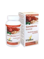 Ganoderma lucidum-Reishi gyógygomba kivonat kapszula 60 db, 500 mg Vitalbert