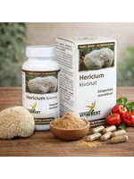 Süngomba-Hericium gyógygomba kivonat kapszula 60 db, 500 mg Vitalbert (1 havi adag)