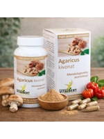 Mandulagomba-Agaricus blazei gyógygomba kivonat kapszula 60 db, 500 mg Vitalbert 
