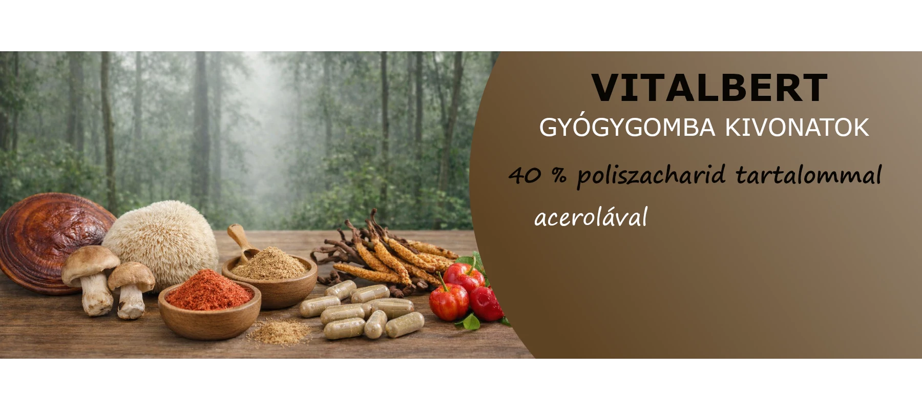 Gyógygomba