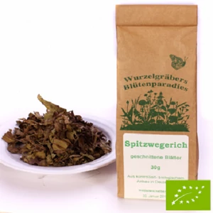Lándzsás útifű szeletelt levél Bio 30 g Wurdies