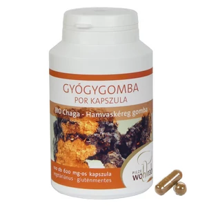 Hamvaskéreg gomba-Chaga BIO gyógygomba por kapszula 100 db, 620 mg Pilze Wohlrab