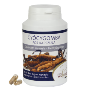 Hernyógomba-Cordyceps sinensis gyógygomba por kapszula 100 db, 620 mg Pilze Wohlrab 62g