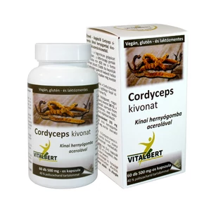 Kínai hernyógomba-Cordyceps sinensis gyógygomba kivonat kapszula 60 db, 500 mg Vitalbert (1 havi adag)