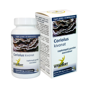Lepketapló gomba - Coriolus gyógygomba kivonat kapszula 60 db, 500 mg Vitalbert (1 havi adag)