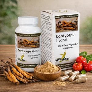 Kínai hernyógomba-Cordyceps sinensis gyógygomba kivonat kapszula 60 db, 500 mg Vitalbert (1 havi adag)