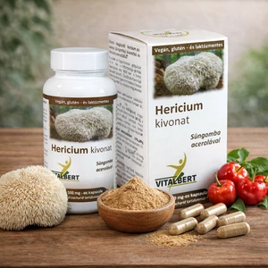 Süngomba-Hericium gyógygomba kivonat kapszula 60 db, 500 mg Vitalbert (1 havi adag)