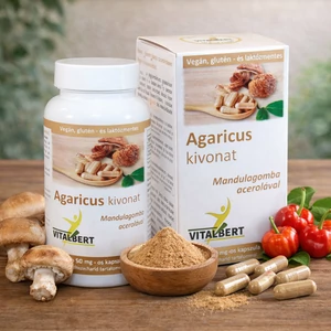 Mandulagomba-Agaricus blazei gyógygomba kivonat kapszula 60 db, 500 mg Vitalbert 