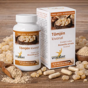 Tömjén kivonat (Boswellia serrata) kapszula 60 db 520 mg Vitalbert (1 havi adag)