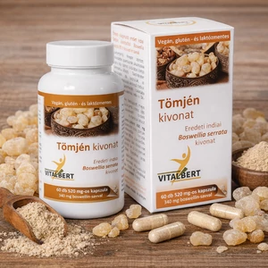 Tömjén kivonat (Boswellia serrata) kapszula 60 db 520 mg Vitalbert (1 havi adag)
