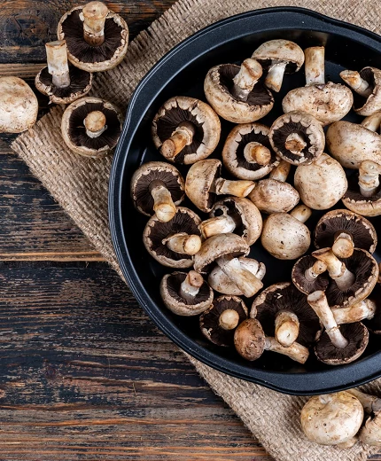 A gyógygombákról bővebben