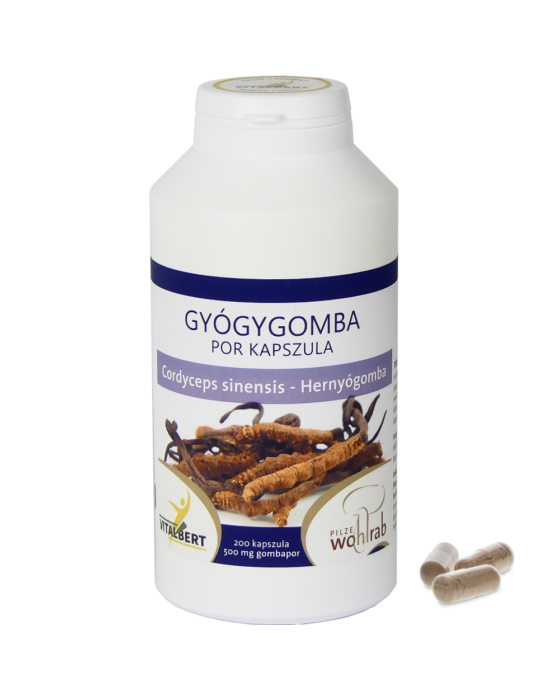 Hernyógomba-Cordyceps sinensis gyógygomba por kapszula 200 db, 620 mg Pilze Wohlrab 119 g