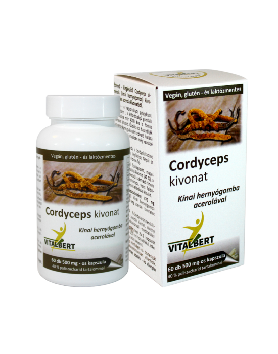 Kínai hernyógomba-Cordyceps sinensis gyógygomba kivonat kapszula 60 db, 500 mg Vitalbert (1 havi adag)