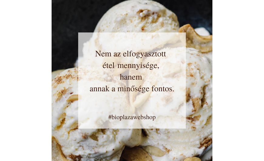 a kft. bemutatása