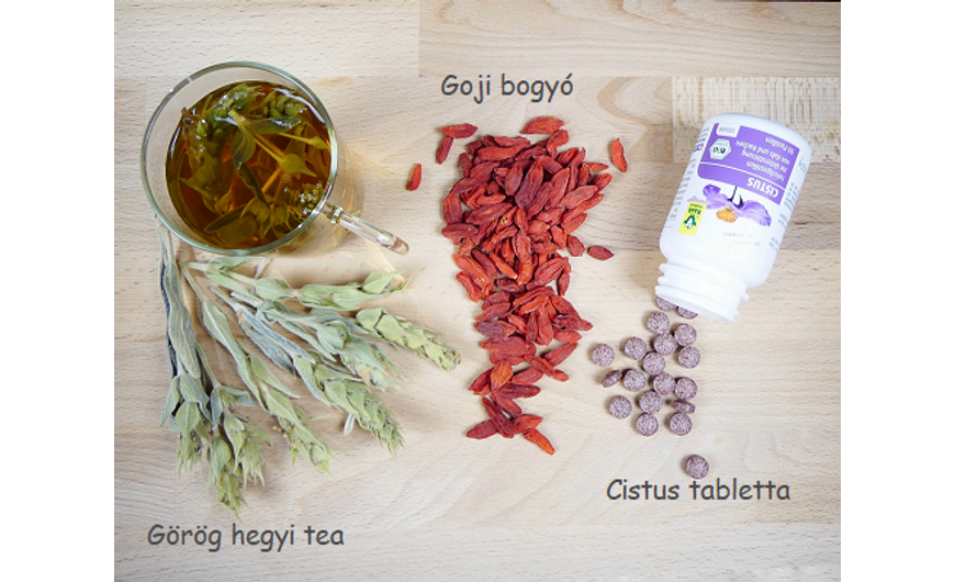 Ne ess pánikba a vírusok miatt!